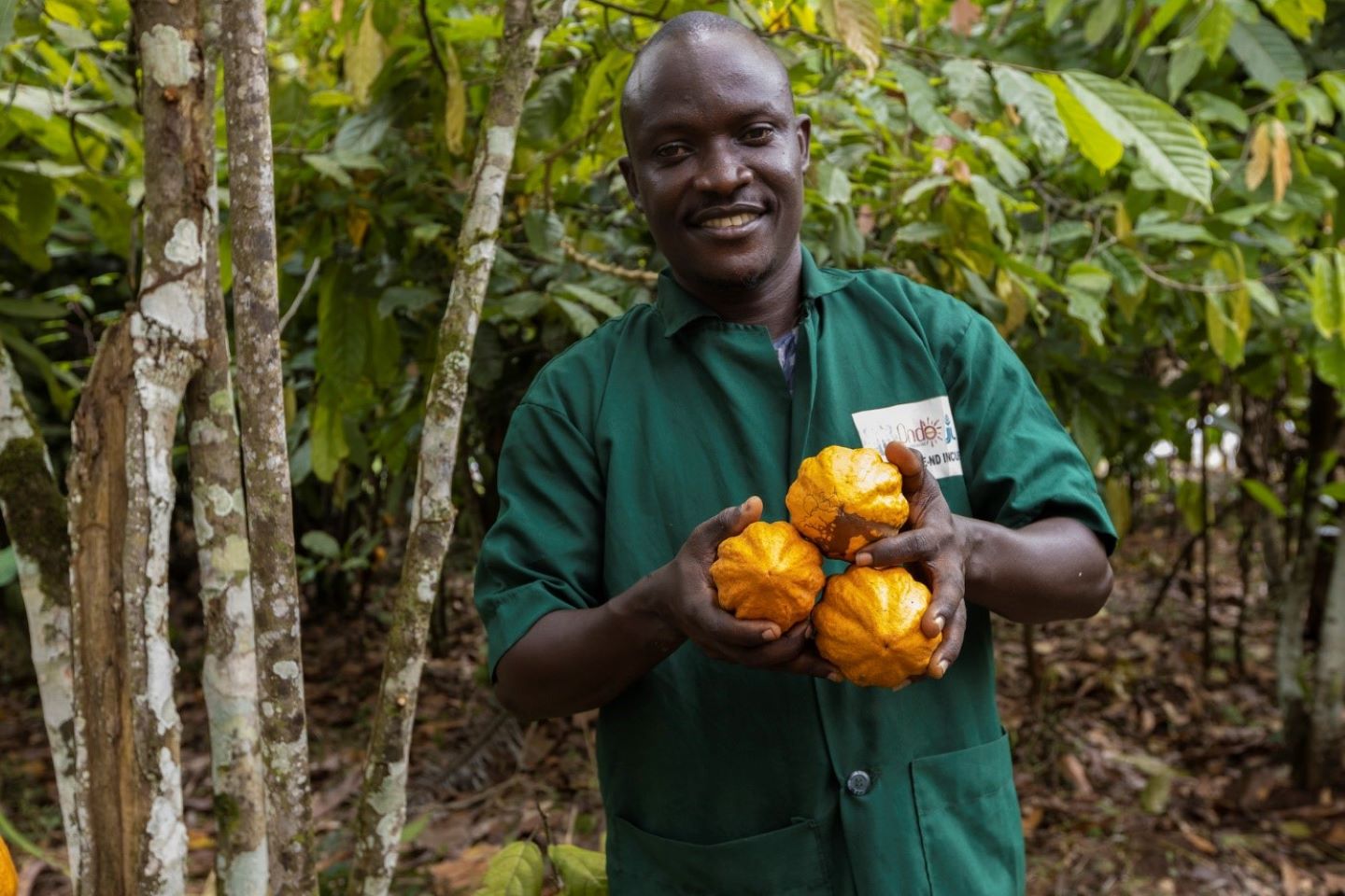 Sourced from trusted producer networks